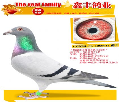 ������240���ס�