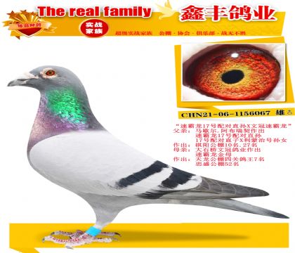 ���ٰ���17�����ֱ��X�Ĺ��ٰ�����