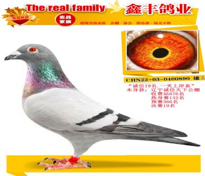 ����������19����