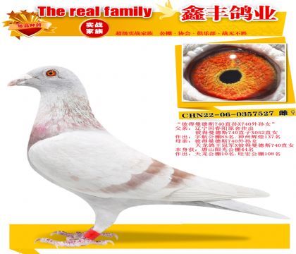 ���˵�����˹740���ס�