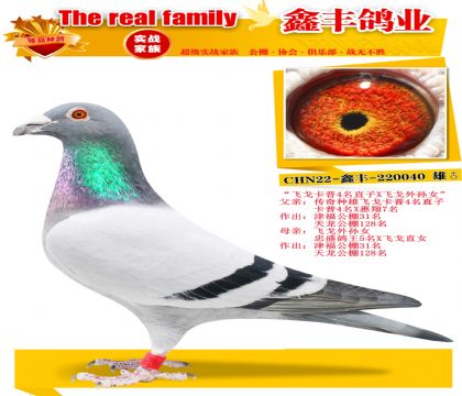 ���ɸ괫������X�ɸ���Ů��