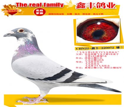 ���ɸ괫������X�ɸ���Ů��