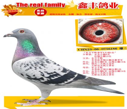 ���������ܼ���X���5����