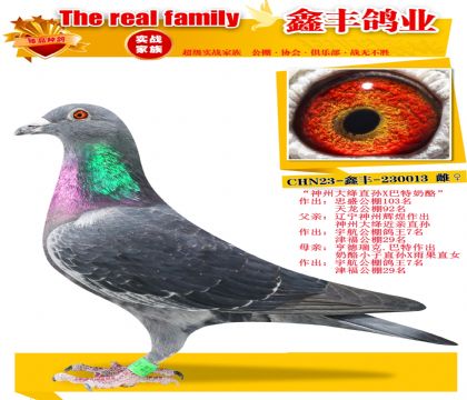 �����ݴ��ֱ��X�������ҡ�