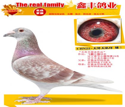 ��������˽����