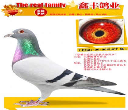 ���ܽ�ͷ���ס�