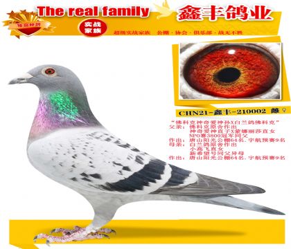 ����ƿ����氮����X�������ƿˡ�