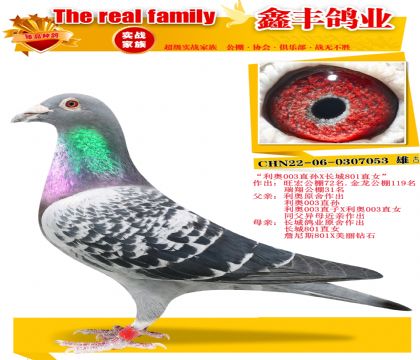 ������003ֱ��X����801��