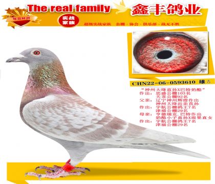 �����ݴ��ֱ��X�������ҡ�