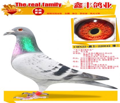 ��������X��ƿ���������Ů��