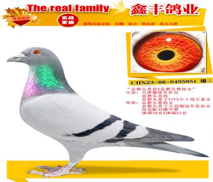 ���ܽ�ͷ���ס�