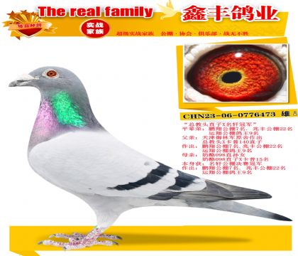 ���ܽ�ͷֱ��X�����ھ���