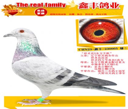 �����黨X�������ܻƽ��ֱŮ��