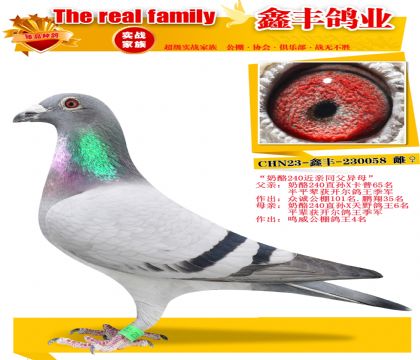 ������240���ס�