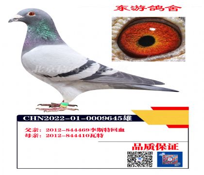 ��˹��X����9645