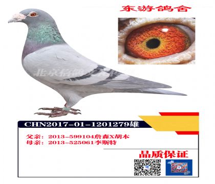 ղɭX����X��˹��1279