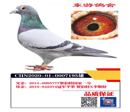 �ز���X��˹��7195