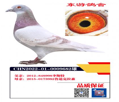 ��˹��X³��9682