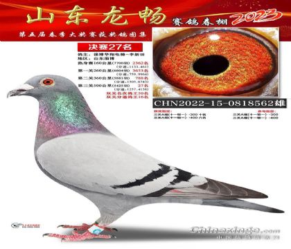 ɽ�������������27��