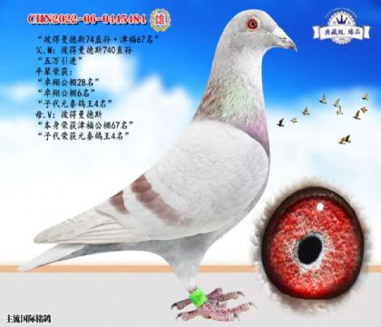 �������ʣ��˵�����˹484