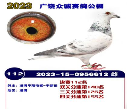 �����ڳϹ������112��