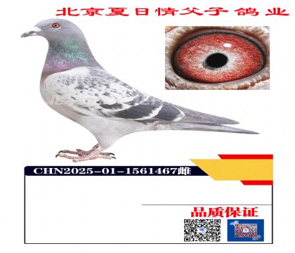 ������Ѫ1467