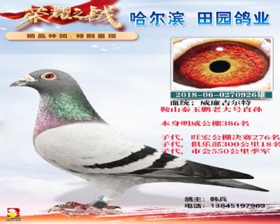 ��ɽ�������ϴ��ֱ��