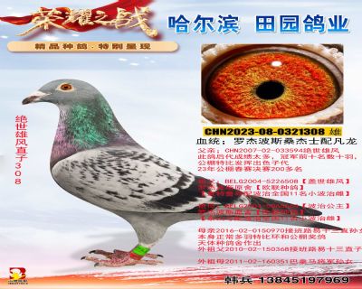 �����۷�ֱ��308�����ر��Ƽ����������