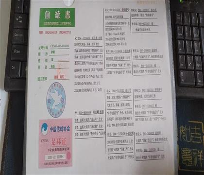 ����Ѫͳ��