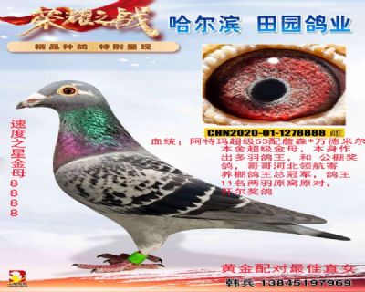 ����֮�ǽ�ĸ8888�����ܼ�������͸�