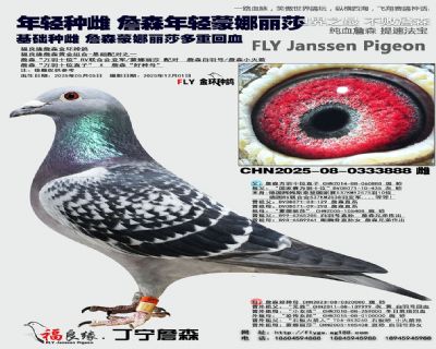 詹森蒙娜丽莎回血