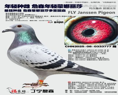 詹森蒙娜丽莎回血