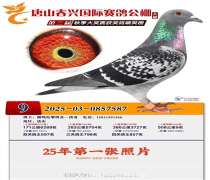 ����ʱ��ĸֱ������