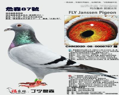 詹森老火箭回血 87号/生育完全正常