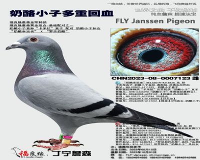 奶酪小子直孙卡米拉直子/奶酪小子孙女