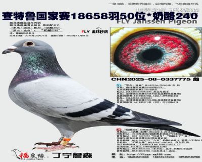 查特鲁国家赛18658羽50位/奶酪240