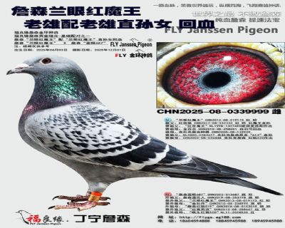 詹森兰眼红魔王 老雄配直孙女 回血