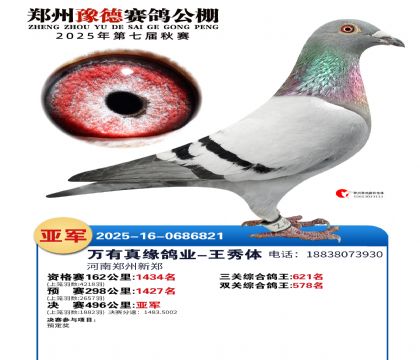 ֣��ԥ�¾����Ǿ�