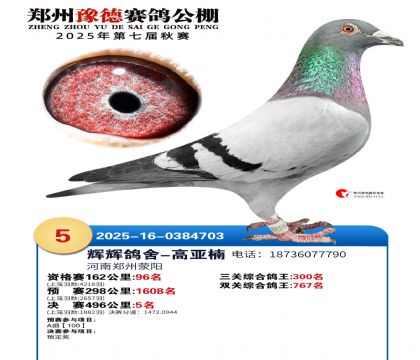 ֣��ԥ�¾���5��