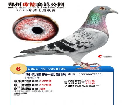 ֣��ԥ�¾���6��