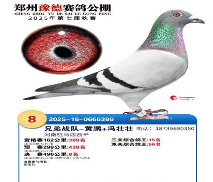 ֣��ԥ�¾���8��