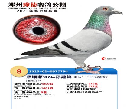 ֣��ԥ�¾���9��