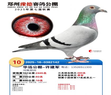 ֣��ԥ�¾���10��