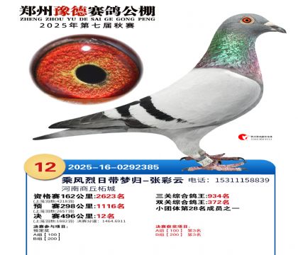 ֣��ԥ�¾���12��