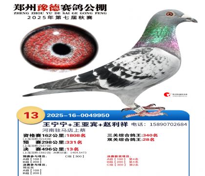 ֣��ԥ�¾���13��