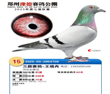 ֣��ԥ�¾���15��