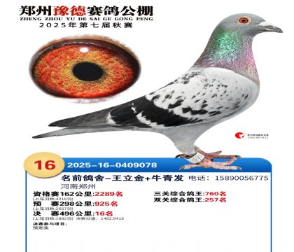 ֣��ԥ�¾���16��