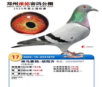 ֣��ԥ�¾���17��