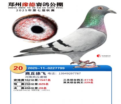 ֣��ԥ�¾���20��