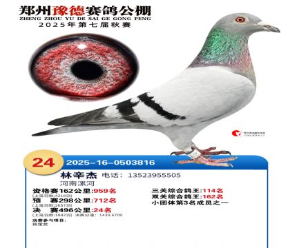 ֣��ԥ�¾���24��